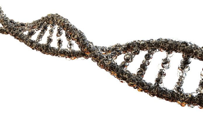 ДНК, нить, генетика