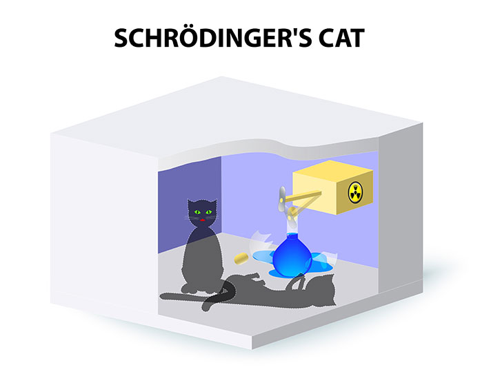 Схема кота Шредингера. 