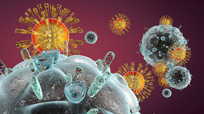 Вирус атакует иммунную систему.